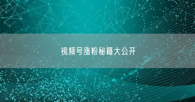 视频号涨粉秘籍大公开