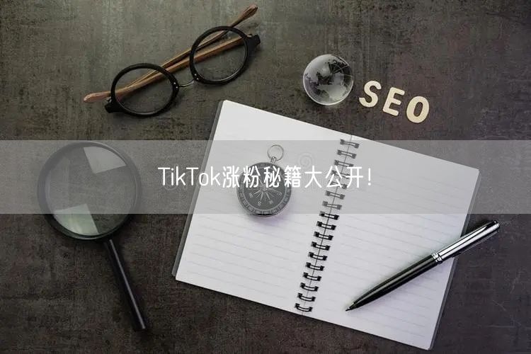 TikTok涨粉秘籍大公开！